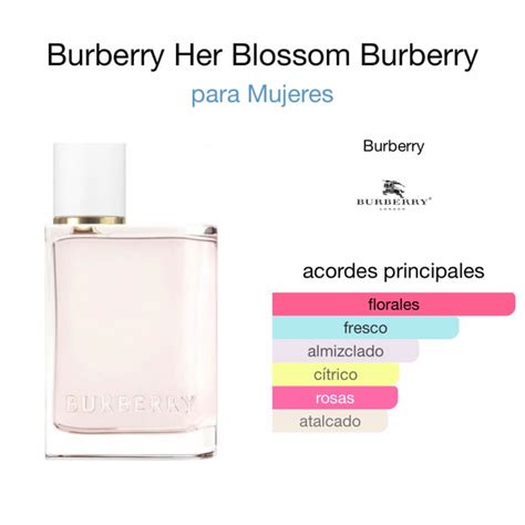 burberry notas olfativas|burberry her fragancia.